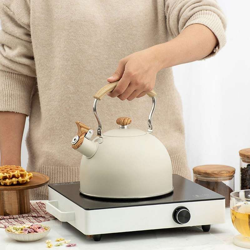 Whistling Kettle 2.5l for Gas Stove Induction Cooker - Green
