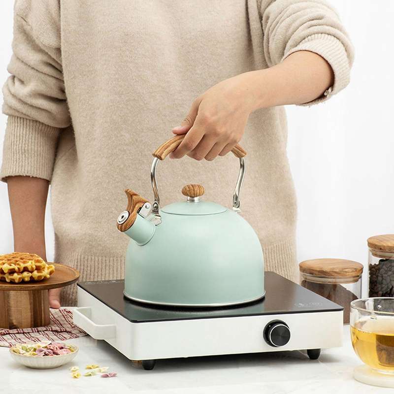Whistling Kettle 2.5l for Gas Stove Induction Cooker - Green