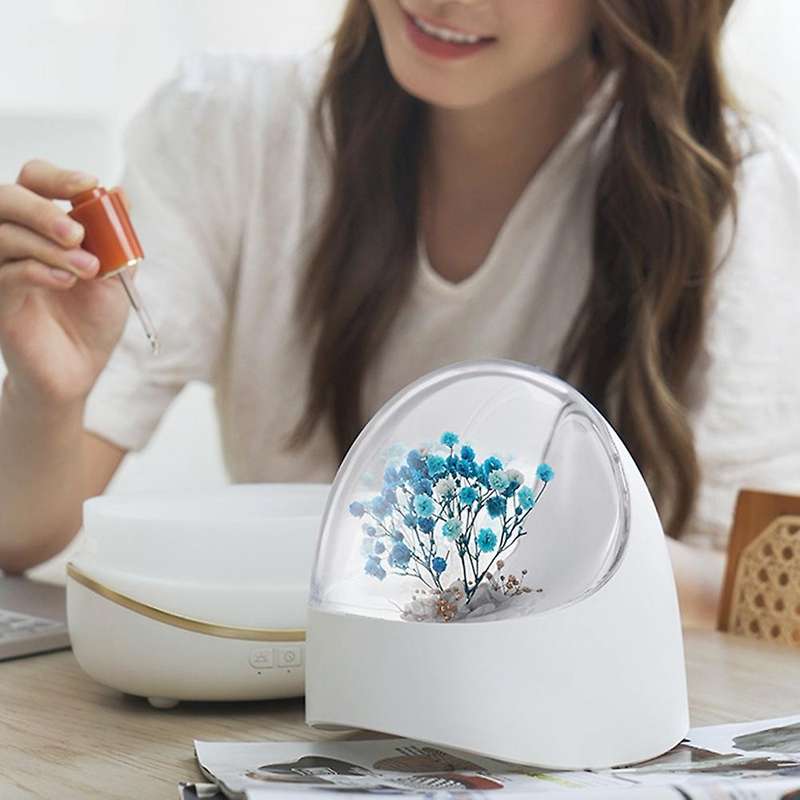 Huaying Humidifier 400ml Essential Oil Diffuser for Home Us Plug B
