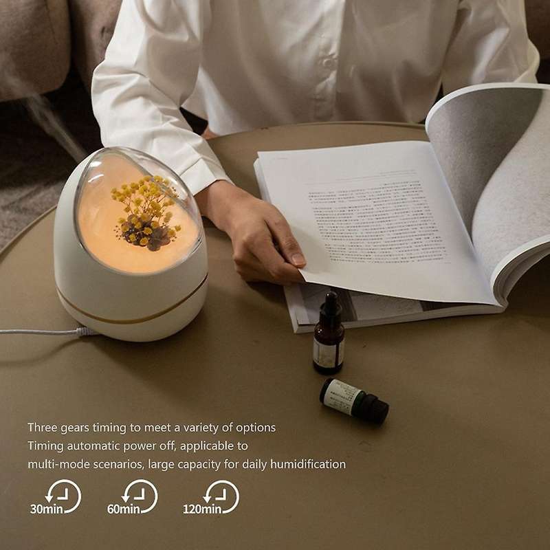 Huaying Humidifier 400ml Essential Oil Diffuser for Home Us Plug B