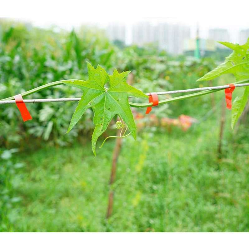 Plant Tying Machine,garden Plant Tool for Vineyard,plant Agriculture