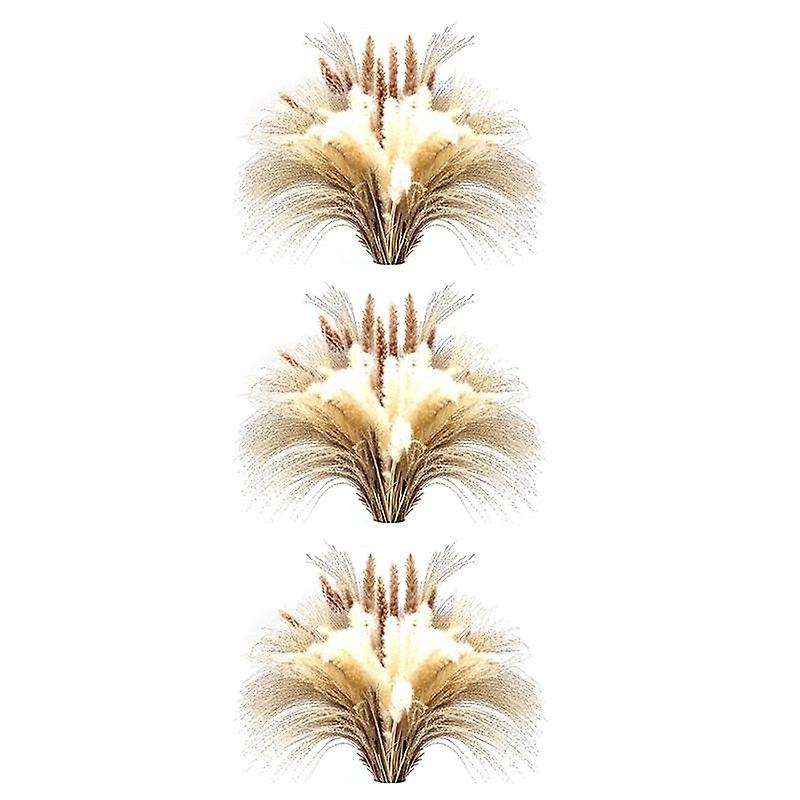 120pcs 17.72 Inch Dried White Pampas Grass&brown Dried Flower