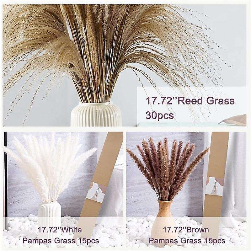 120pcs 17.72 Inch Dried White Pampas Grass&brown Dried Flower