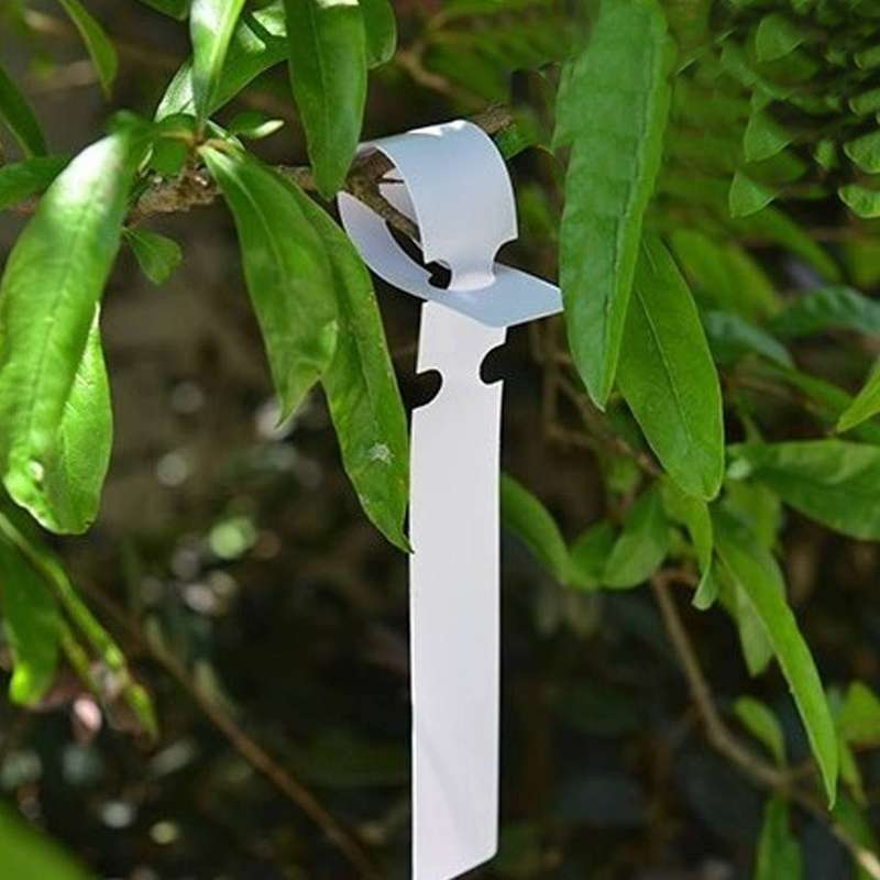 1000pcs 8 Inch Wrap Plant Tags,2x21cm White Plastic Plant Lables