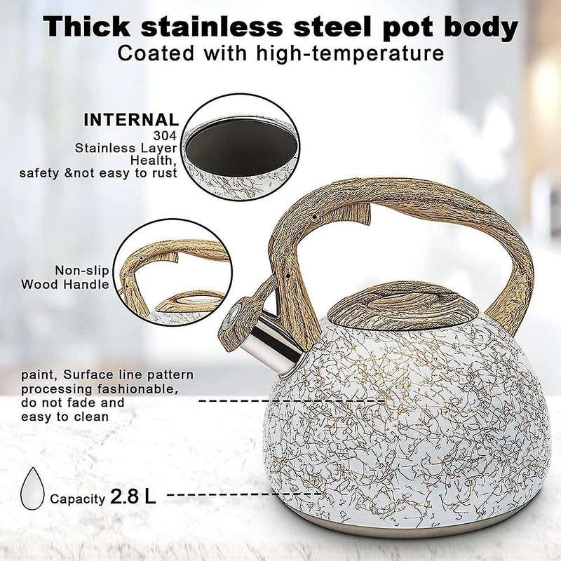 Whistling Stainless Steel Tea Kettle with Handle, 2.8l, White