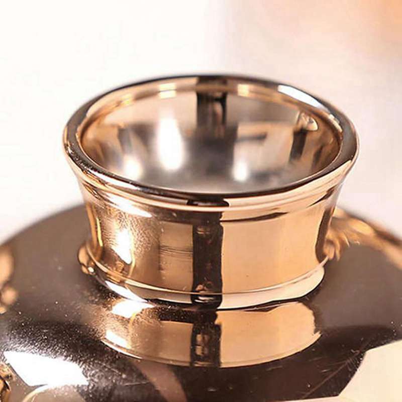 Nordic Electroplated Gold Vase for Home Decor Dried Flower Bottle