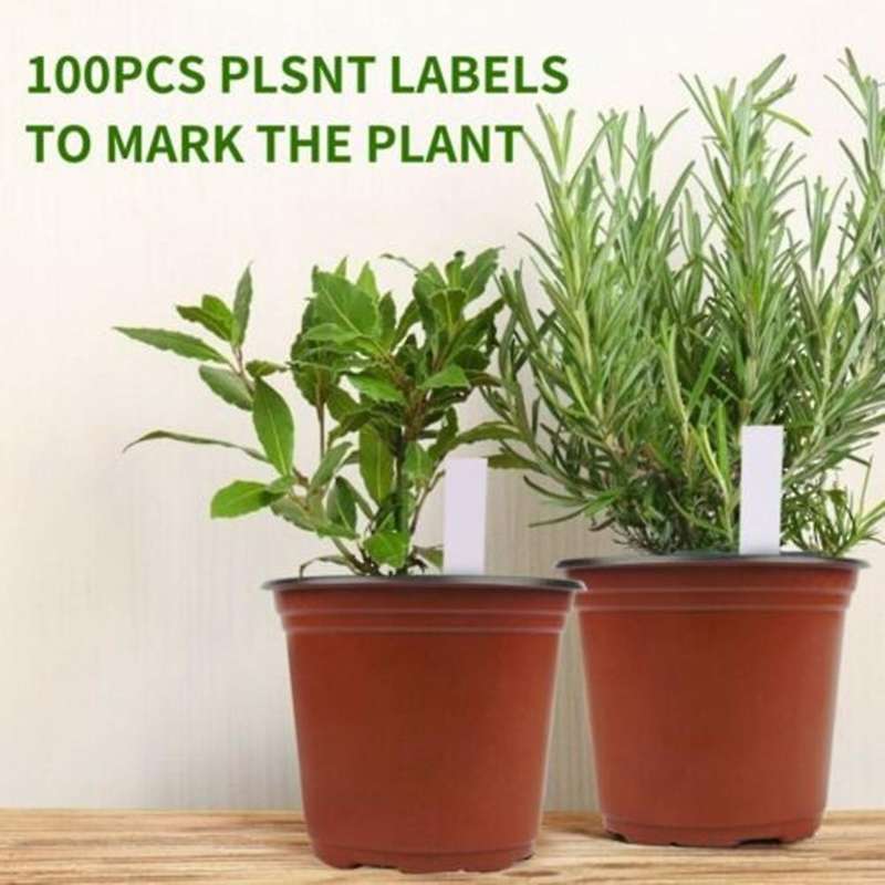 100pcs 6inch Plastic Plants Pots Nursery Pots with Label Garden Tools