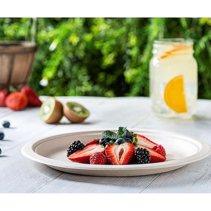 9 Inch Eco-friendly Disposable Sugarcane Paper Plates Biodegradable
