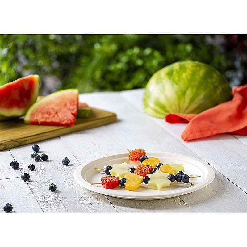 9 Inch Eco-friendly Disposable Sugarcane Paper Plates Biodegradable