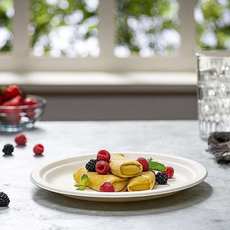9 Inch Eco-friendly Disposable Sugarcane Paper Plates Biodegradable