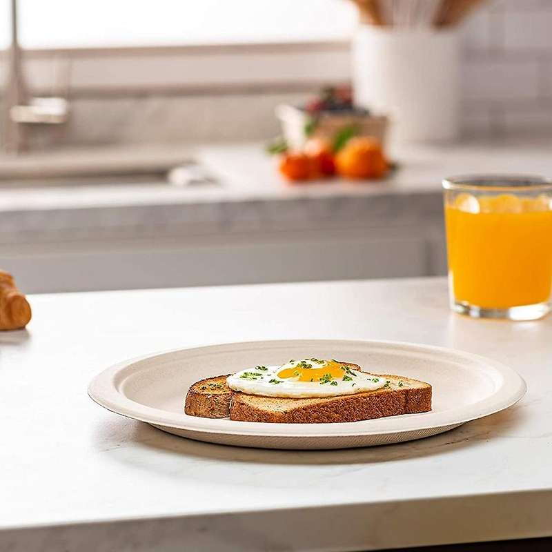 9 Inch Eco-friendly Disposable Sugarcane Paper Plates Biodegradable