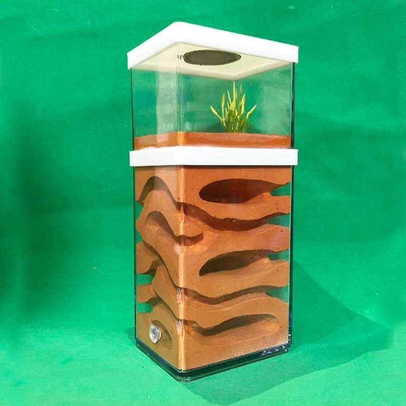 Ant Farm Insect Hotel Castle Ecological Nest Pet with Feeding Area