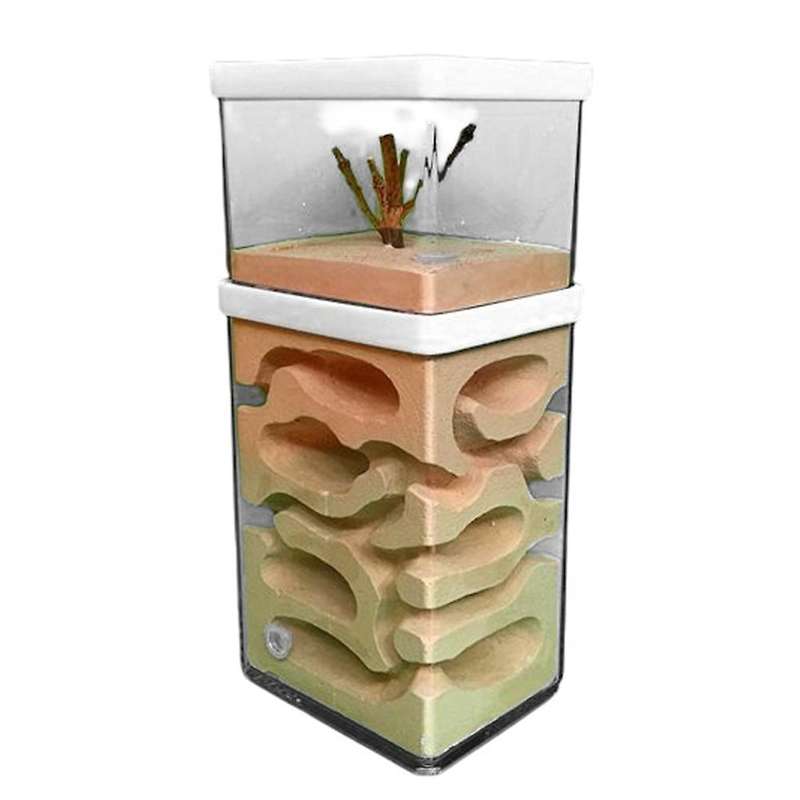 Ant Farm Insect Hotel Castle Ecological Nest Pet with Feeding Area