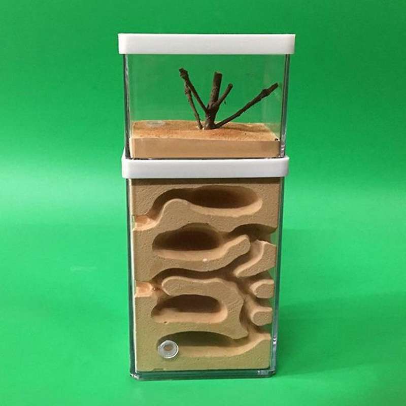 Ant Farm Insect Hotel Castle Ecological Nest Pet with Feeding Area
