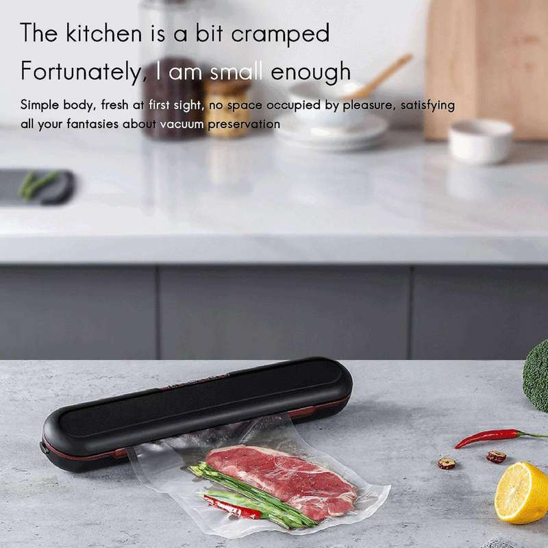 Commercial Household Food Vacuum Sealer Include 10pcs Bags Eu Plug