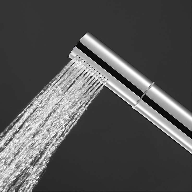 Two-function Copper Handheld Pressurized Shower Head with Abs Shower