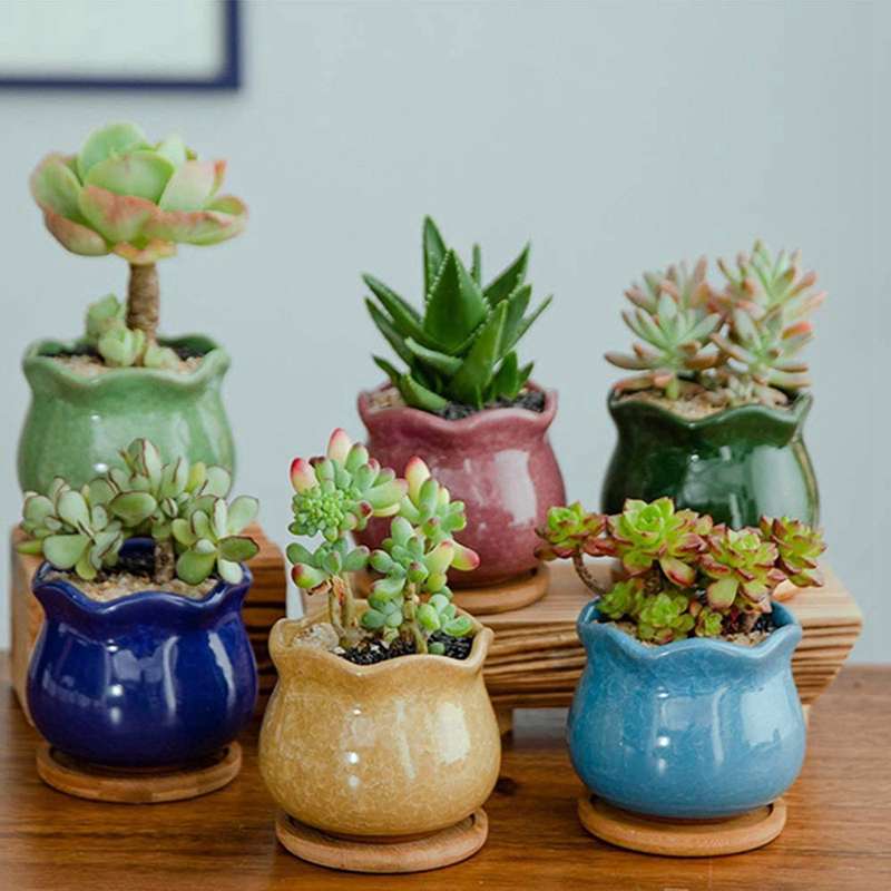 40 Packs Of Bamboo Plant Saucers-3.34 Inch Round Plant Succulent