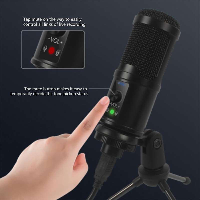 Professional Condenser Usb Computer Microphone Kit with Arm Stand A