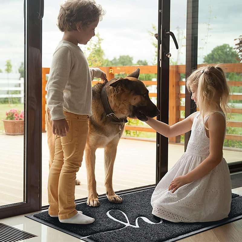 2-pack Door Mat Indoor Outdoor Doormat Multiple-use Mats (hello)