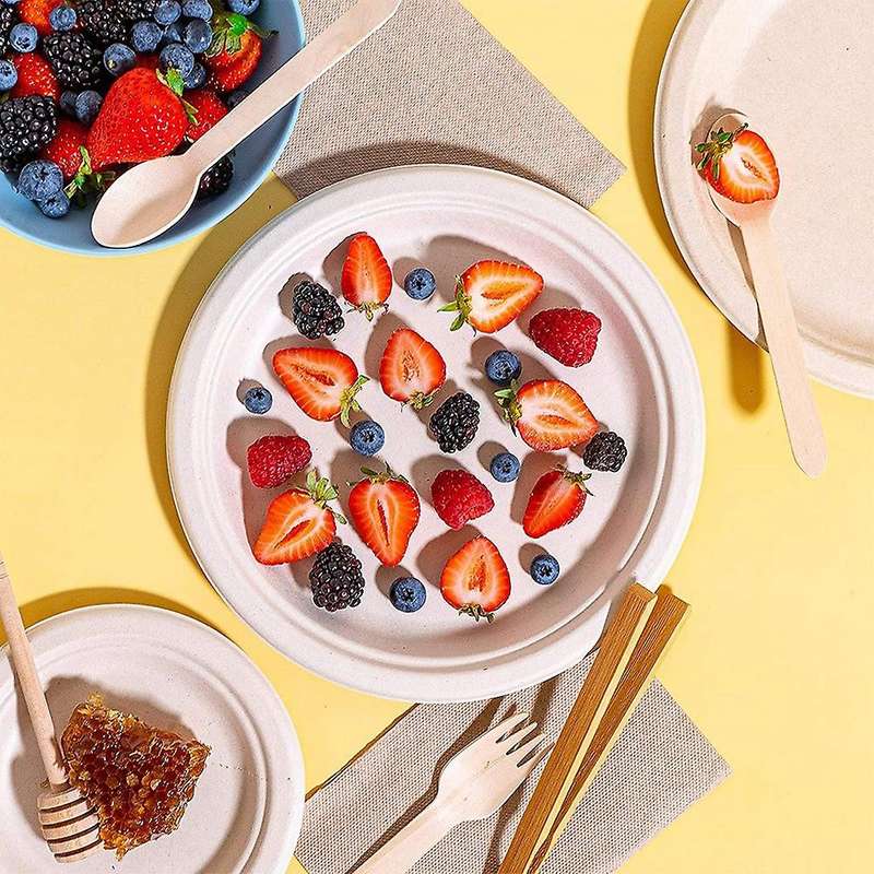 100 Pack 9in Compostable Disposable Round Bagasse Paper Plates