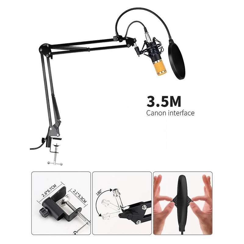 Bm800 Microphone Kit with Sound Card Microphone for Computer(gold)