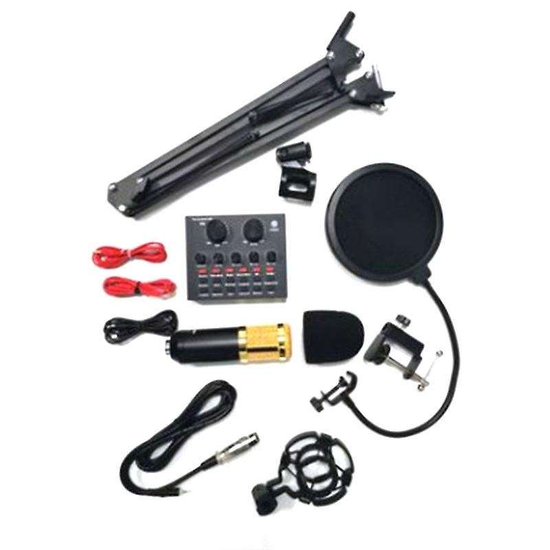 Bm800 Microphone Kit Studio with V8 Sound Card (gold)