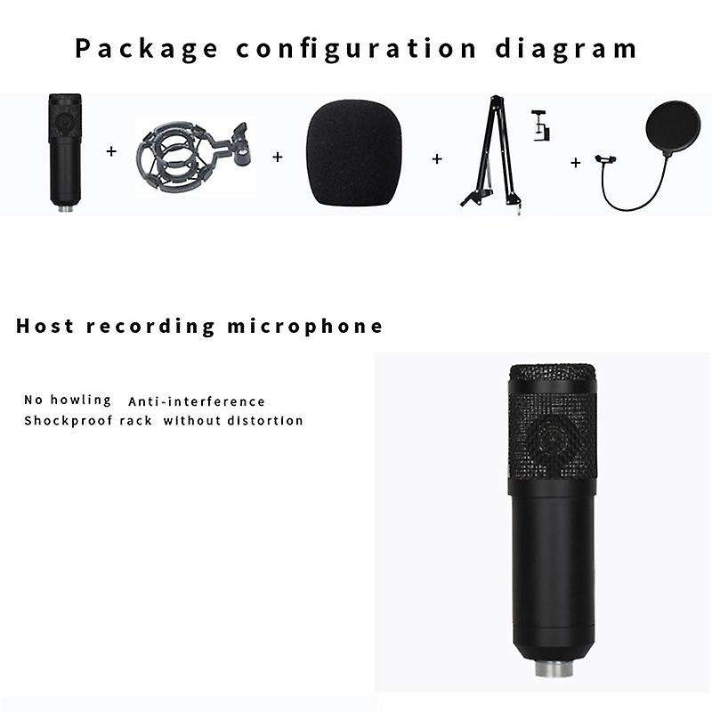 Bm800 Microphone Kit Studio with V8 Sound Card (gold)