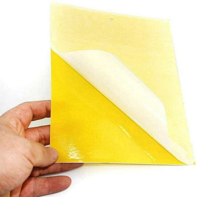 100pcs Sticky Fly Trap Paper Yellow Traps Dual-sided 20x15cm