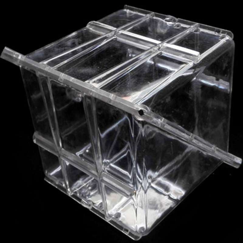Big Size Plastic Clear Heart Square Watermelon Fruit Growth Mould