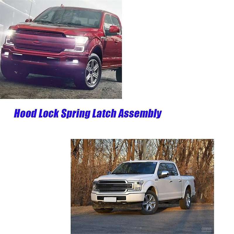Car Hood Lock Latch Assembly Fl3z-16700-b for 2015-2020 Spring Lock Latch Actuator Fl3z-16700-a