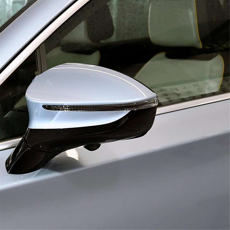 Car Side Door Mirror Trim Rearview Mirror Frame Decoration for TANG