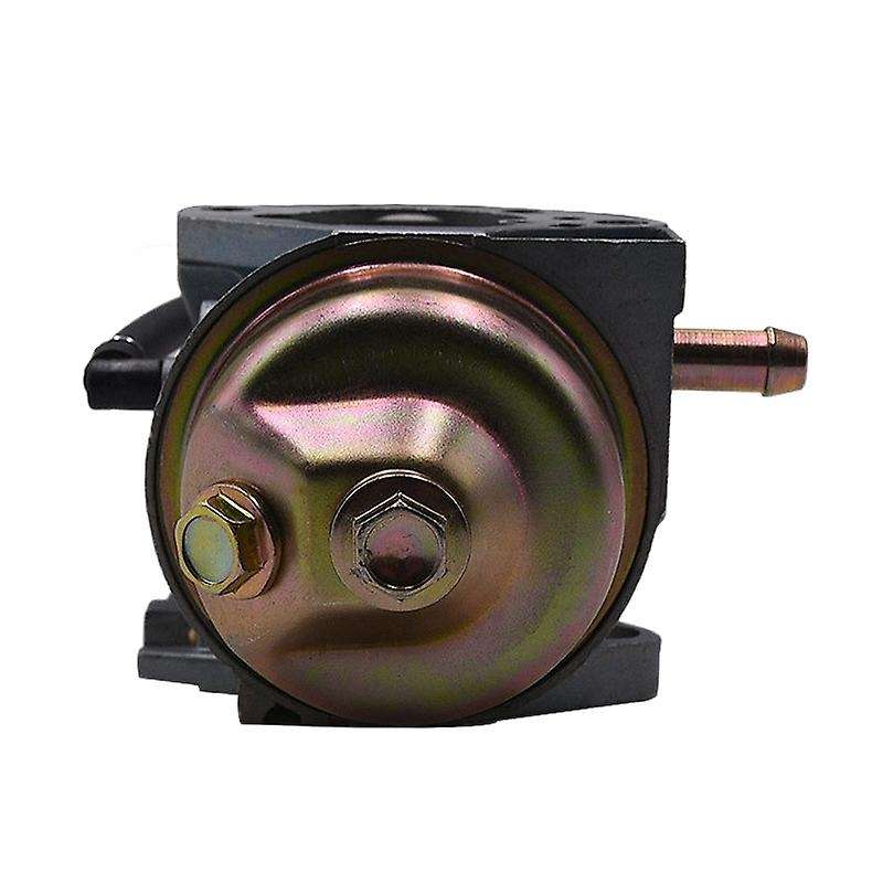 Carburetor 799802 Carburetor with Gasket Replacement Garden Tools for 25M137-0019-F1 25M137-0020-H1