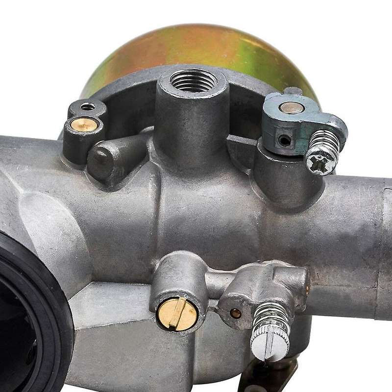 Carburetor Carb with Gaskets Replacements 252702 252707 253702 253706 393410 for Briggs & Stratton
