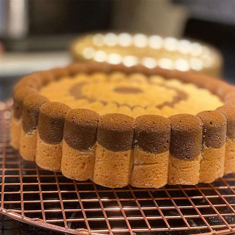 Charlotte Cake Pan,Charlotte Cake Pan Pan Nonstick, 9.4 Inch Cake Pan for Baking Fluted Cake Pan Mol
