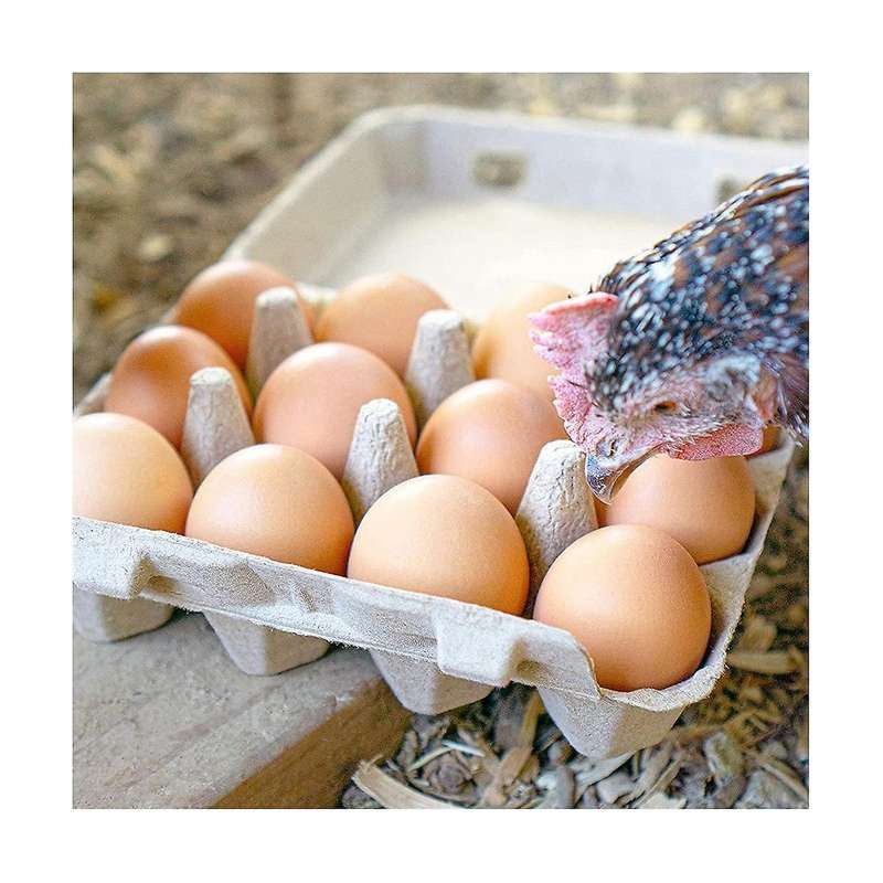 Classic 3x4 Style Egg Cartons - Holds 12 Eggs, -friendly Material (30pcs)