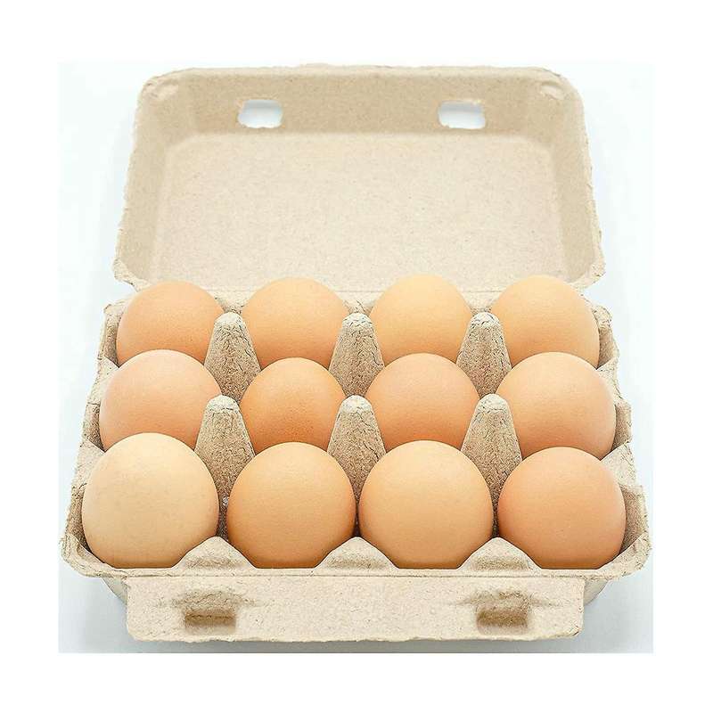 Classic 3x4 Style Egg Cartons - Holds 12 Eggs, -friendly Material (30pcs)