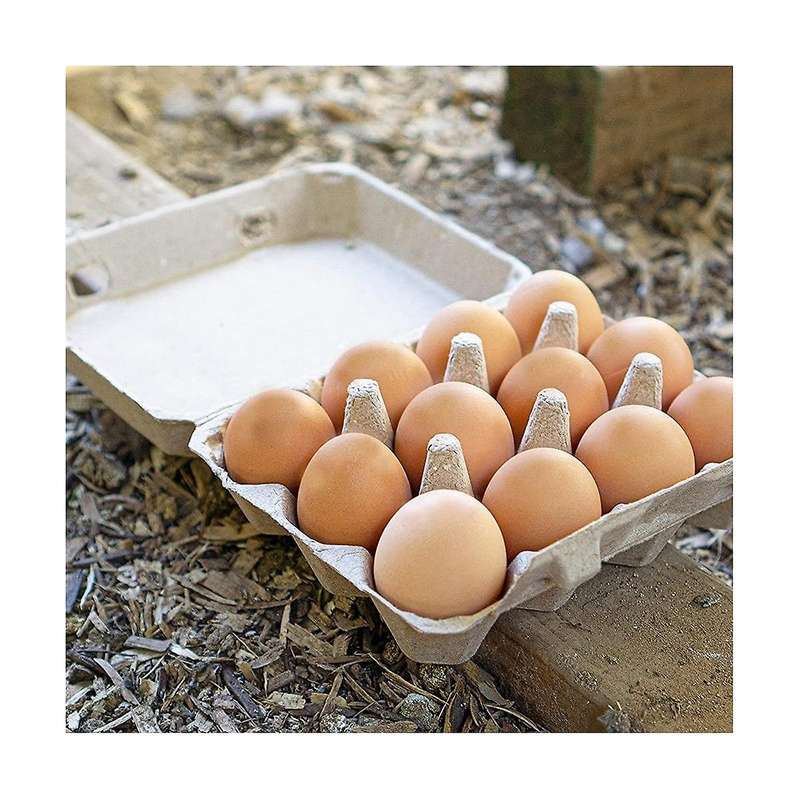 Classic 3x4 Style Egg Cartons - Holds 12 Eggs, -friendly Material (30pcs)