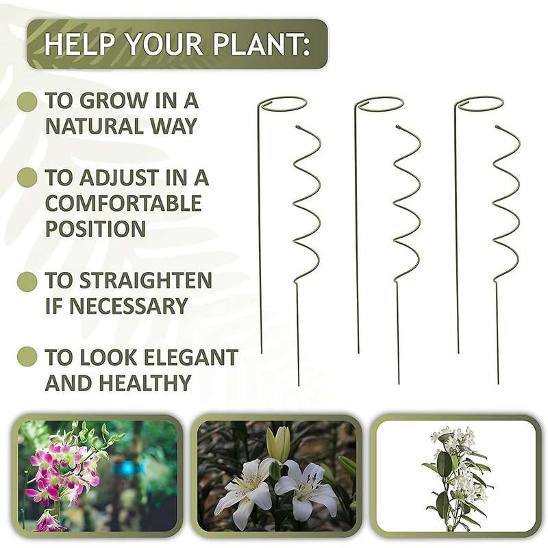 Climbing and Stem Plant Support Stakes - 16 Inches 3X Single Stem Flower Stakes and 3X Spiral Plant