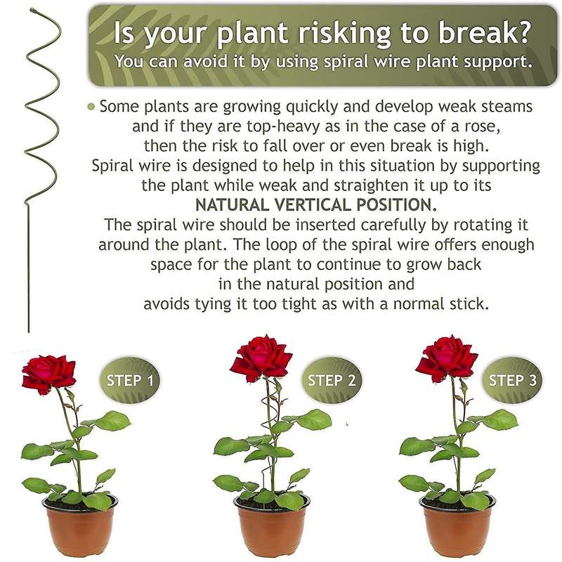 Climbing and Stem Plant Support Stakes - 16 Inches 3X Single Stem Flower Stakes and 3X Spiral Plant