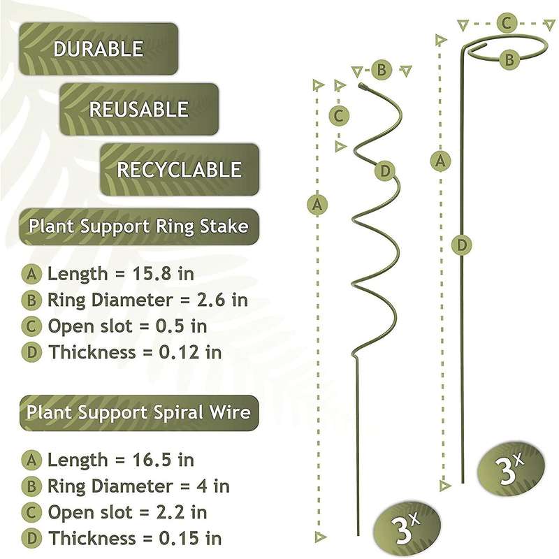 Climbing and Stem Plant Support Stakes - 16 Inches 3X Single Stem Flower Stakes and 3X Spiral Plant