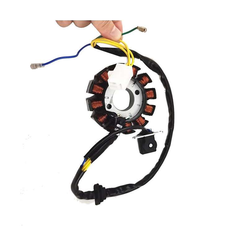 Coil 12 Pole Stator Dc Coil Ignition Stator for Gy6 125cc 150cc