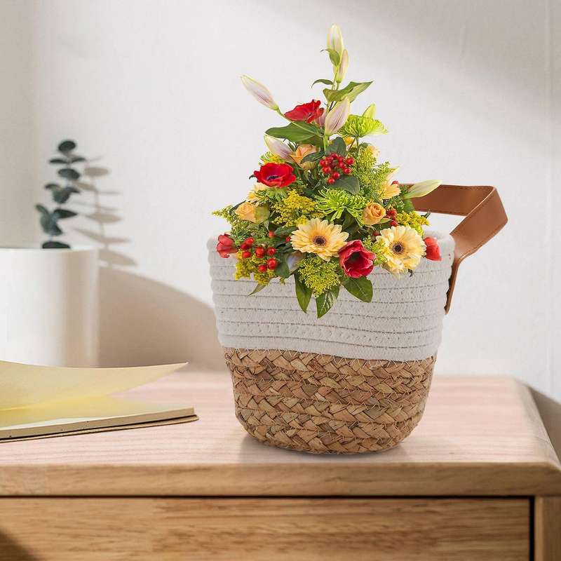 Wall Hanging Basket - Small Cotton Rope Woven Closet Bins - Shelf Basket Organizer for Plants Home