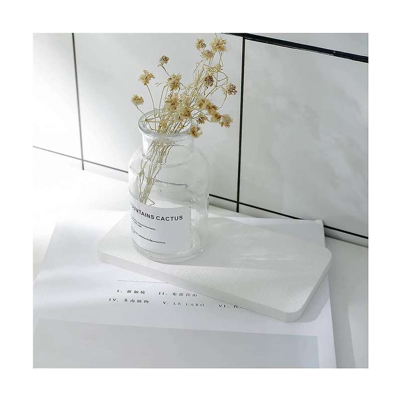 Water Absorbent Diatomite Coasters, Water Absorbing Stone Used for Hand Soaps & Plants & Toiletries