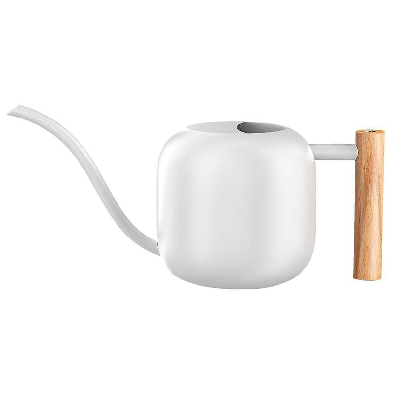 Water Can Indoor Plant 1.2L/41Oz with Long Spout Small Water Can Metal Watering Can Pot for Indoor H