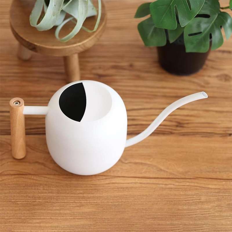 Water Can Indoor Plant 1.2L/41Oz with Long Spout Small Water Can Metal Watering Can Pot for Indoor H