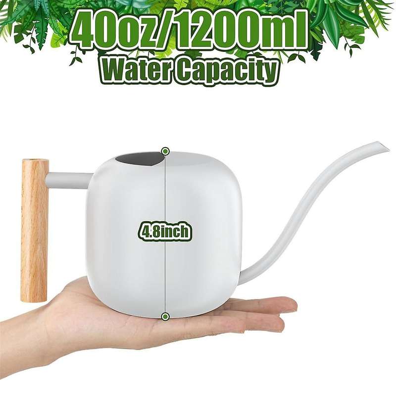 Water Can Indoor Plant 1.2L/41Oz with Long Spout Small Water Can Metal Watering Can Pot for Indoor H