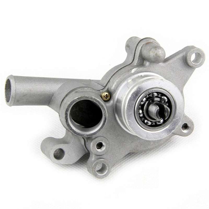 Water Pump Assembly for Linhai Buyang Lh250 Lh300 250cc 260cc 300cc Atv