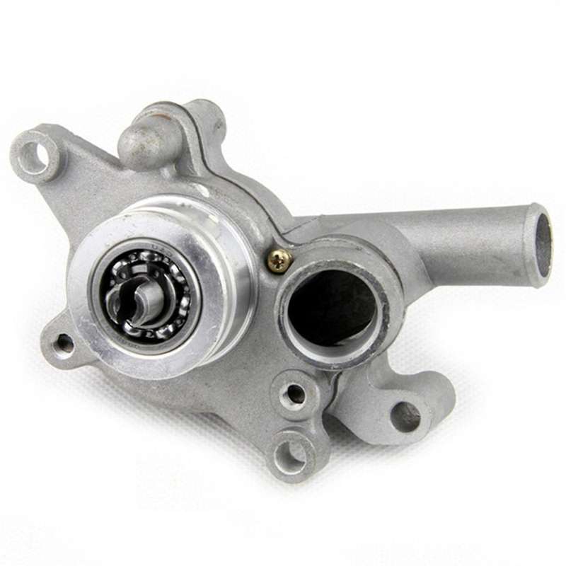 Water Pump Assembly for Linhai Buyang Lh250 Lh300 250cc 260cc 300cc Atv