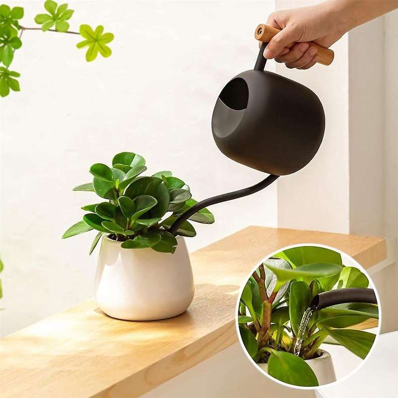 Watering Can Indoor Plants, 1.2l/41oz Cute Watering Can Pot, Stainless Steel Garden Watering Can wit