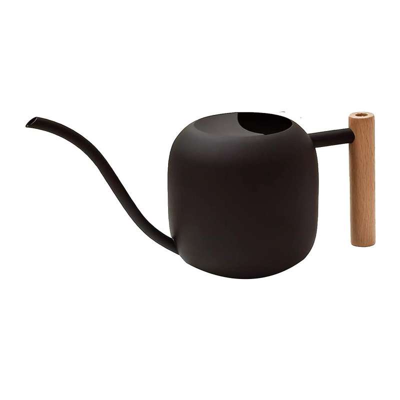 Watering Can Indoor Plants, 1.2l/41oz Cute Watering Can Pot, Stainless Steel Garden Watering Can wit